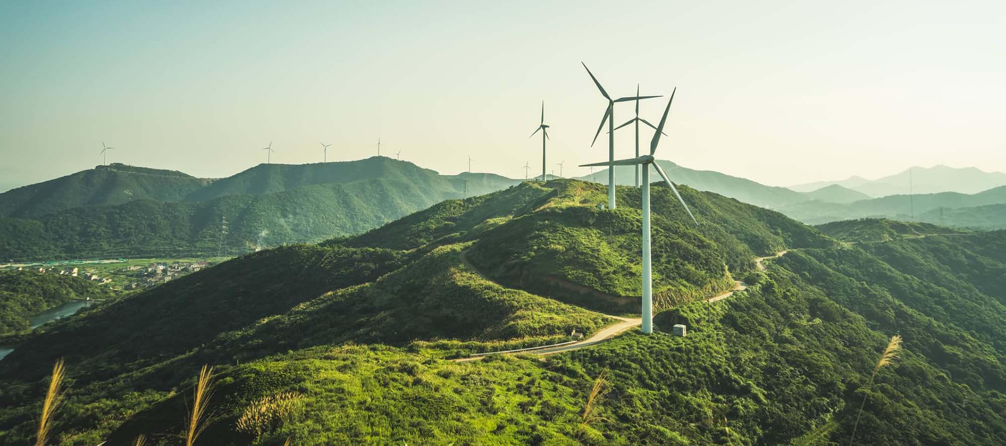 The Board’s Role in Sustainable Leadership