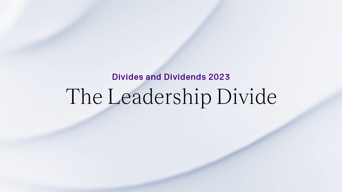 thumbnail-leadership-divide.jpg