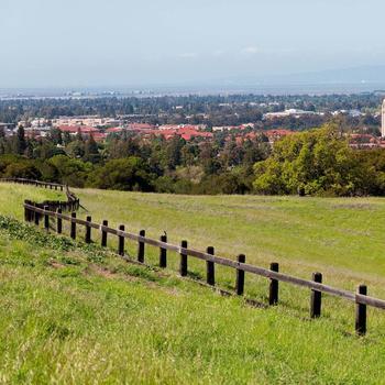 Palo Alto