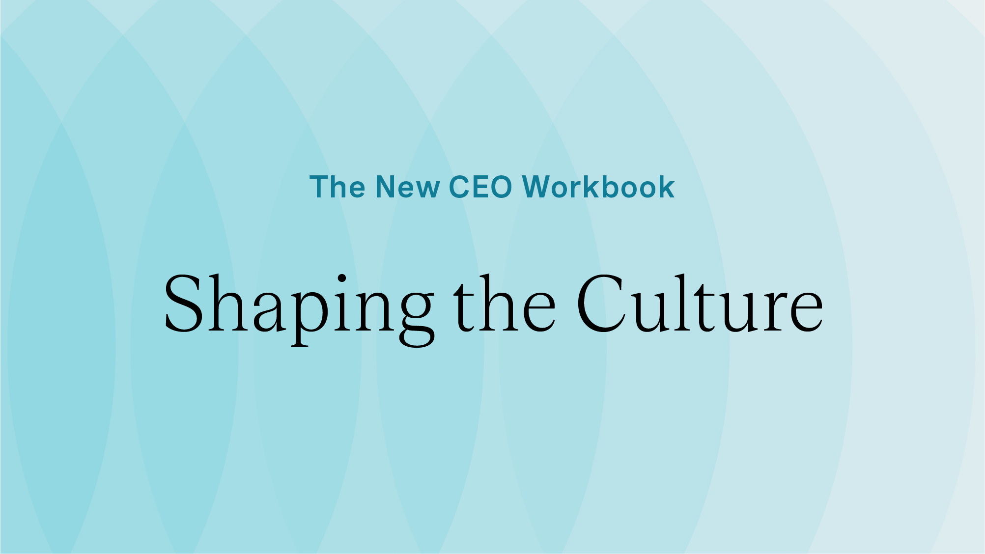 new-ceo-wb-thumbnail-shaping.jpg